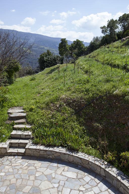Aori Hillside Villa Kántanos Dış mekan fotoğraf