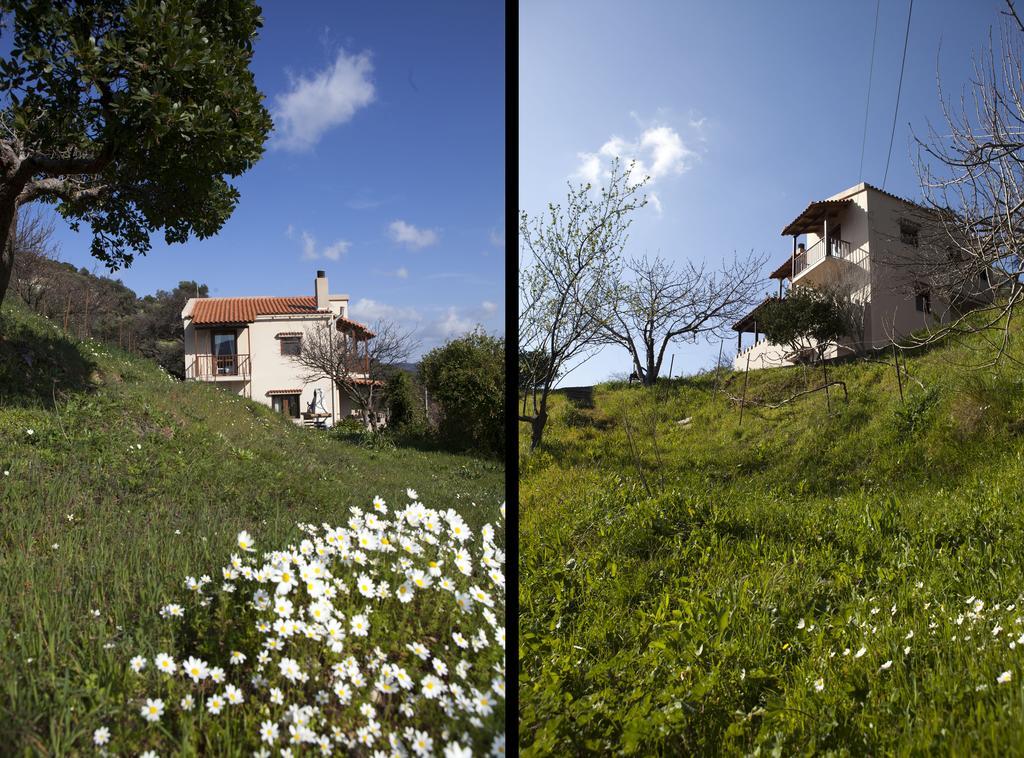Aori Hillside Villa Kántanos Dış mekan fotoğraf