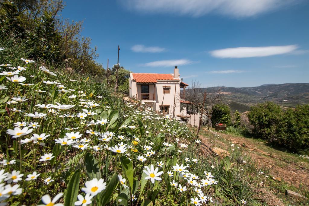 Aori Hillside Villa Kántanos Dış mekan fotoğraf