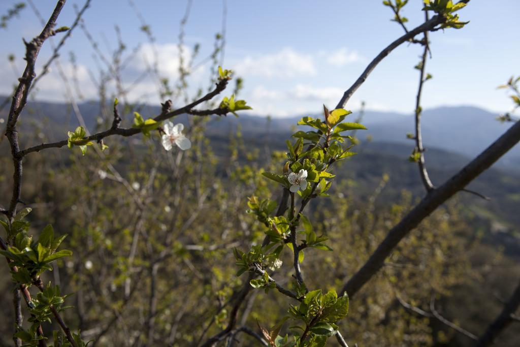 Aori Hillside Villa Kántanos Dış mekan fotoğraf